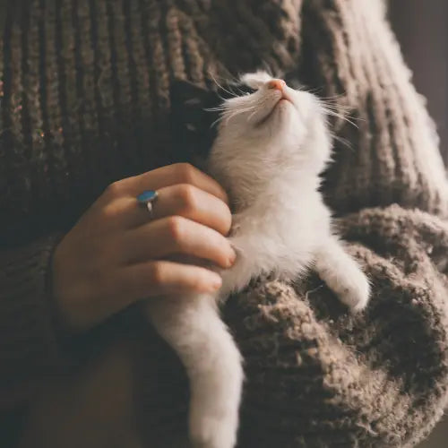 Furr-and-Pets Ardenora eStore